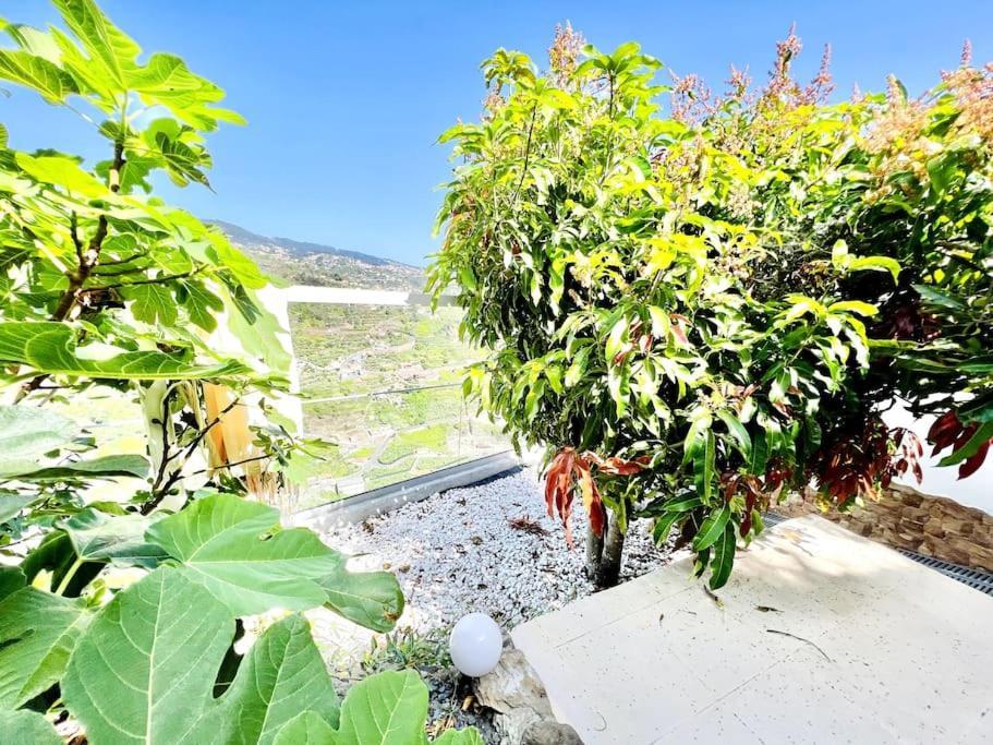 Mar A Vista By Your Madeira Rentals Ponta do Sol  Exterior foto